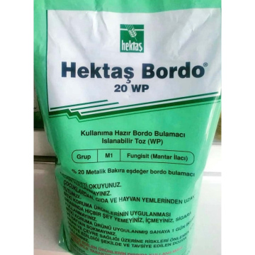 Bordo Hektaş (göy daş)